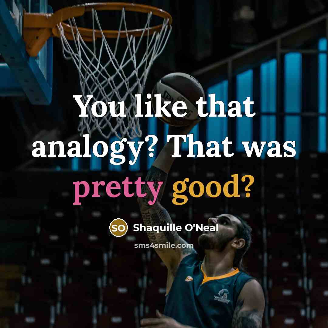“You like that analogy? That was pretty good?…” quote by Shaquille O'Neal