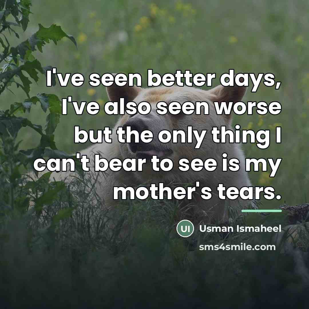 “I've seen better days, I've also seen worse but the…” quote by Usman Ismaheel