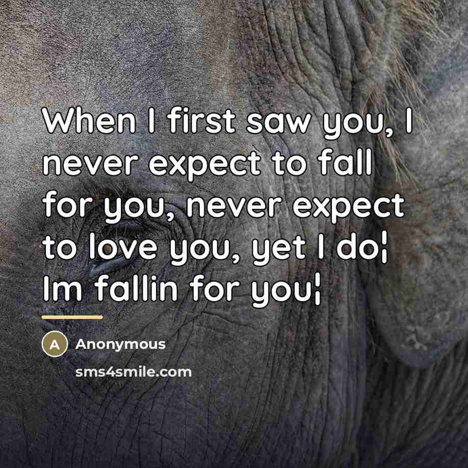 “When I first saw you, I never expect to fall…” quote by Anonymous