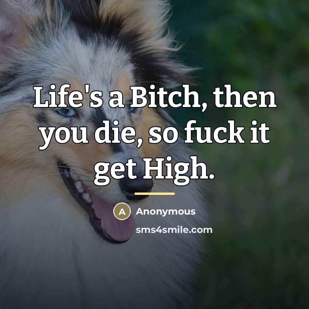 “Life's a Bitch, then you die, so fuck it get…” quote by Anonymous