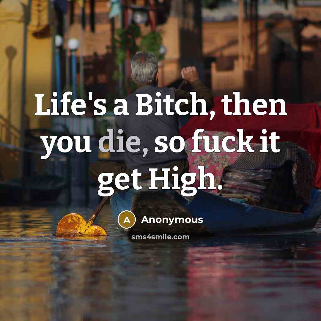 “Life's a Bitch, then you die, so fuck it get High.” quote by Anonymous