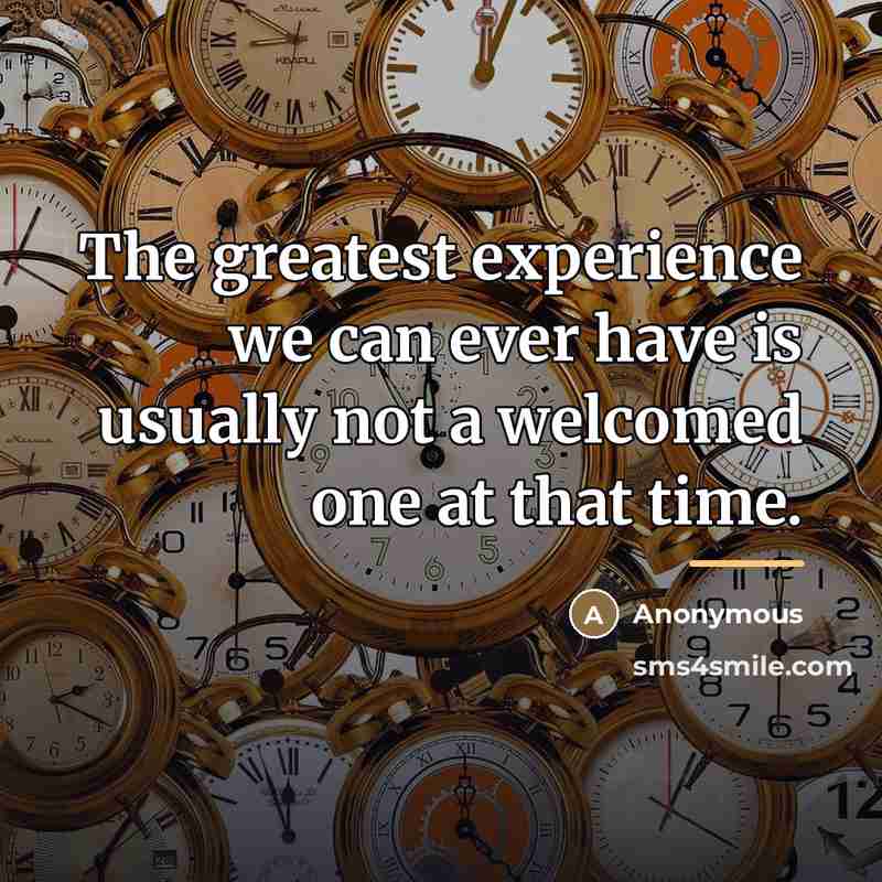 “The greatest experience we can ever have is usually not…” quote by Anonymous