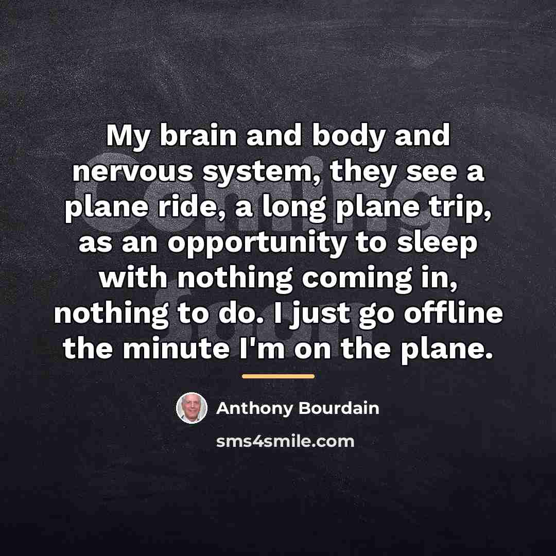 “My brain and body and nervous system, they see a…” quote by Anthony Bourdain