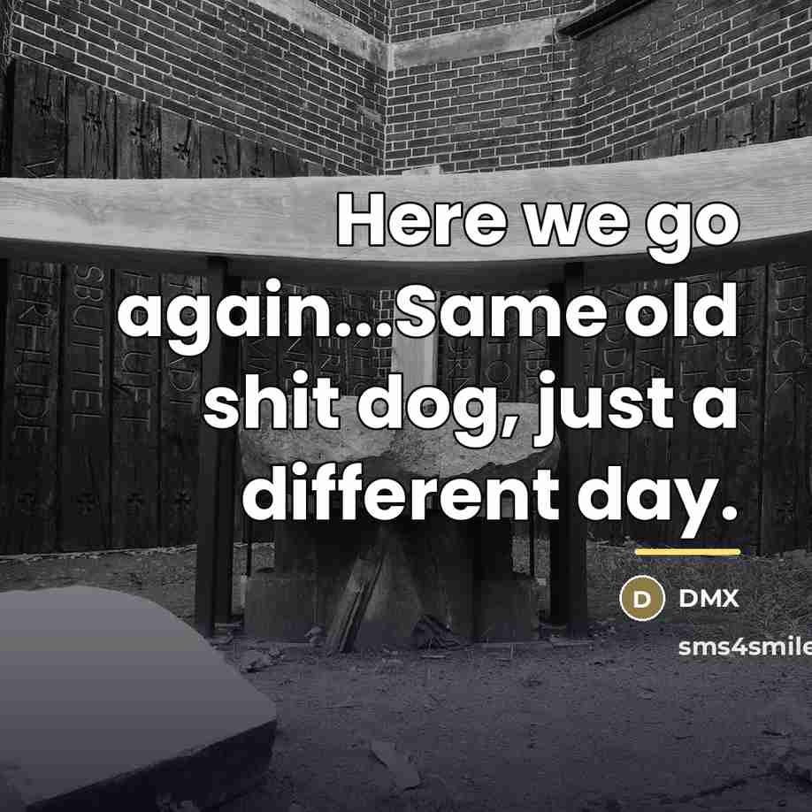 “Here we go again...Same old shit dog, just a different…” quote by Dmx