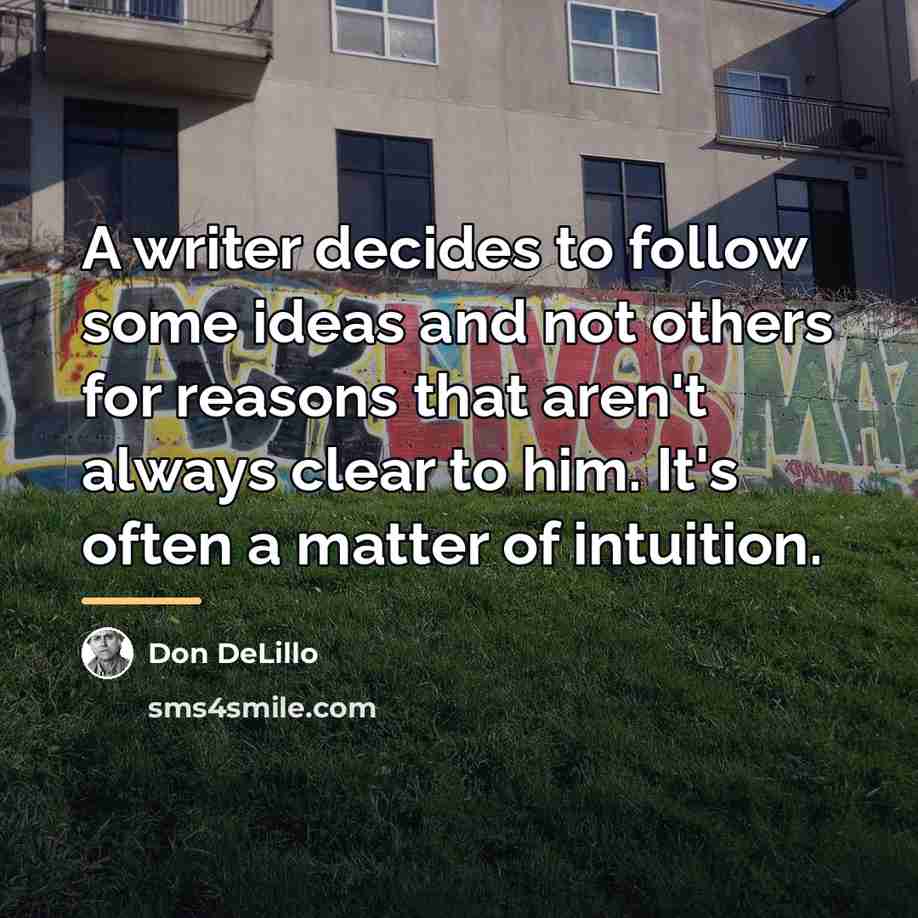 “A writer decides to follow some ideas and not others…” quote by Don DeLillo