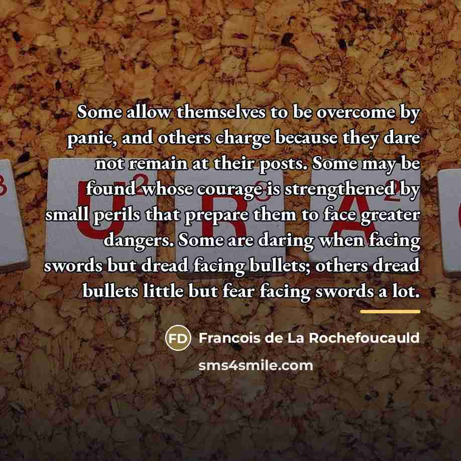 “Some allow themselves to be overcome by panic, and others…” quote by Francois de La Rochefoucauld