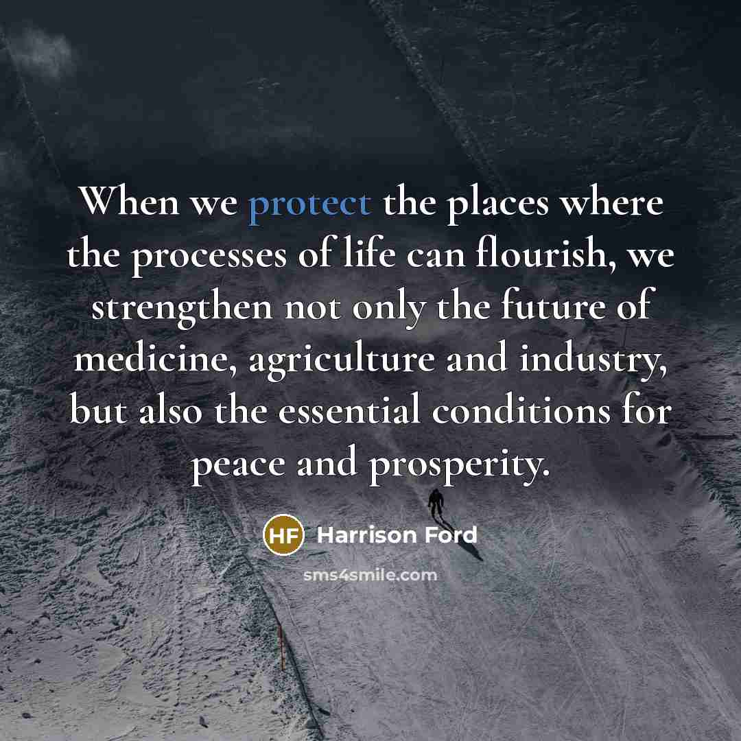 “When we protect the places where the processes of life…” quote by Harrison Ford