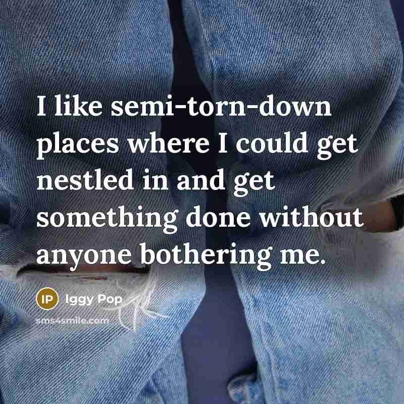 “I like semi-torn-down places where I could get nestled in…” quote by Iggy Pop