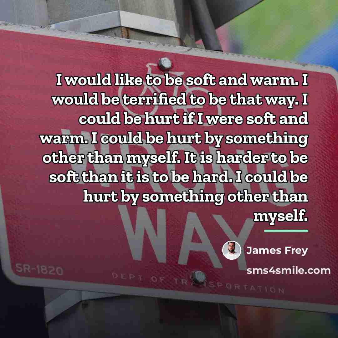 “I would like to be soft and warm. I would…” quote by James Frey