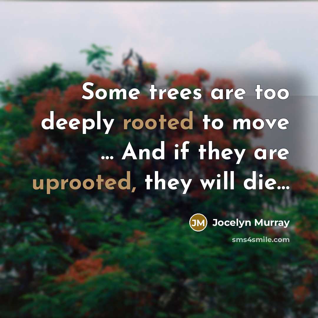 “Some trees are too deeply rooted to move … And if they are uprooted, they will die…” quote by Jocelyn Murray