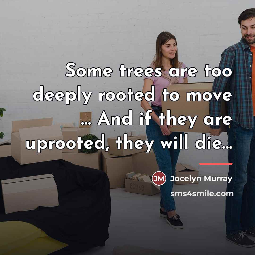 “Some trees are too deeply rooted to move … And…” quote by Jocelyn Murray