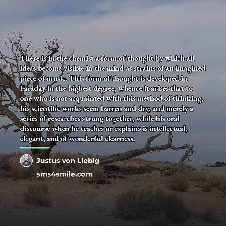 “There is in the chemist a form of thought by…” quote by Justus von Liebig