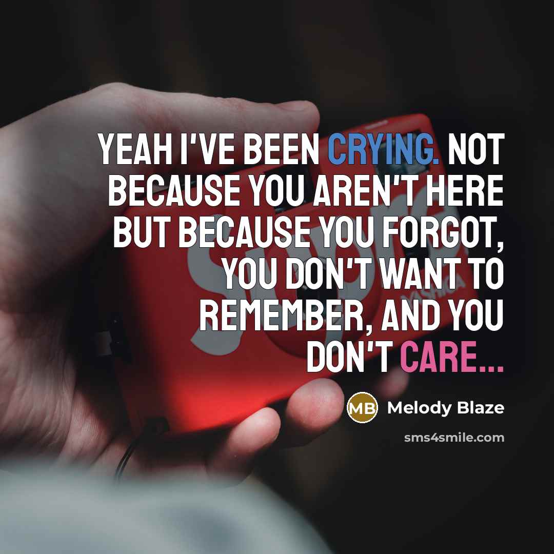 “Yeah I've Been Crying. Not because you aren't here but because you forgot, you don't want to remember, and you DON'T CARE...” quote by Melody Blaze