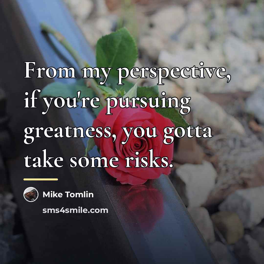 “From my perspective, if you're pursuing greatness, you gotta take…” quote by Mike Tomlin