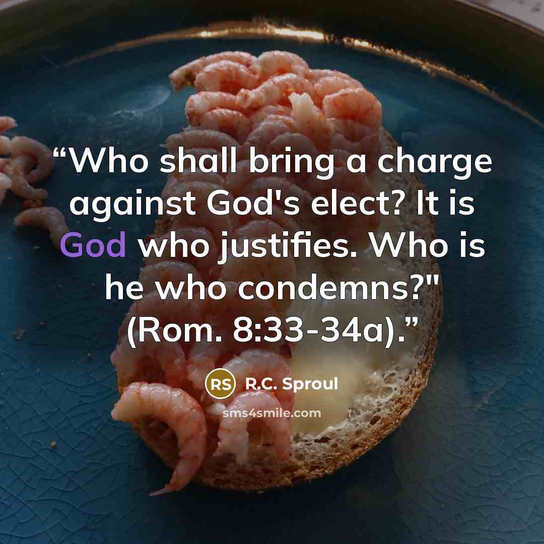 “Who shall bring a charge against God's elect? It is God who justifies. Who is he who condemns?" (Rom. 8:33-34a).” quote by R.C. Sproul