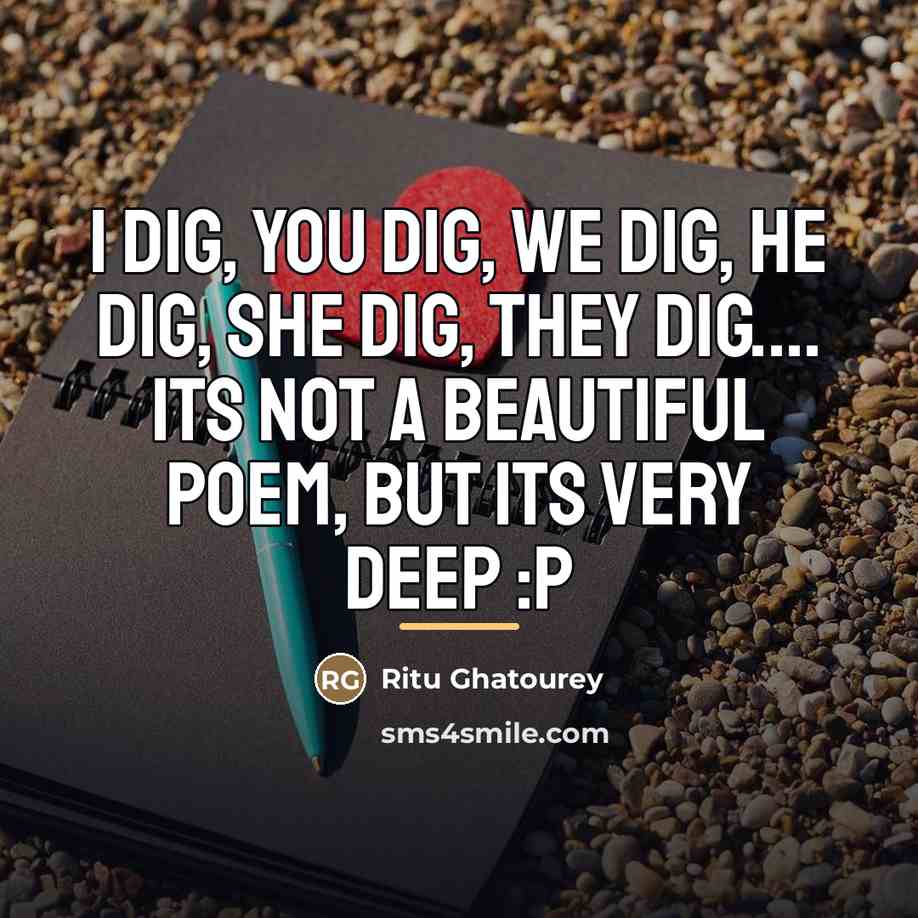 “I dig, you dig, we dig, he dig, she dig,…” quote by Ritu Ghatourey