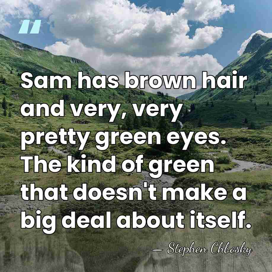Sam has brown hair and very, very pretty green eyes. The kind&hellip; - Stephen Chbosky