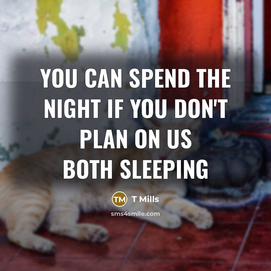 “You can spend the night if you don't plan on us both sleeping” quote by T Mills