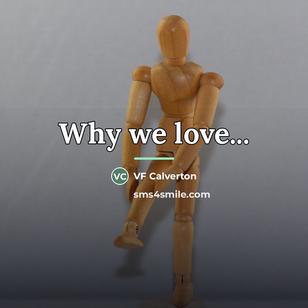 “Why we love...…” quote by VF Calverton