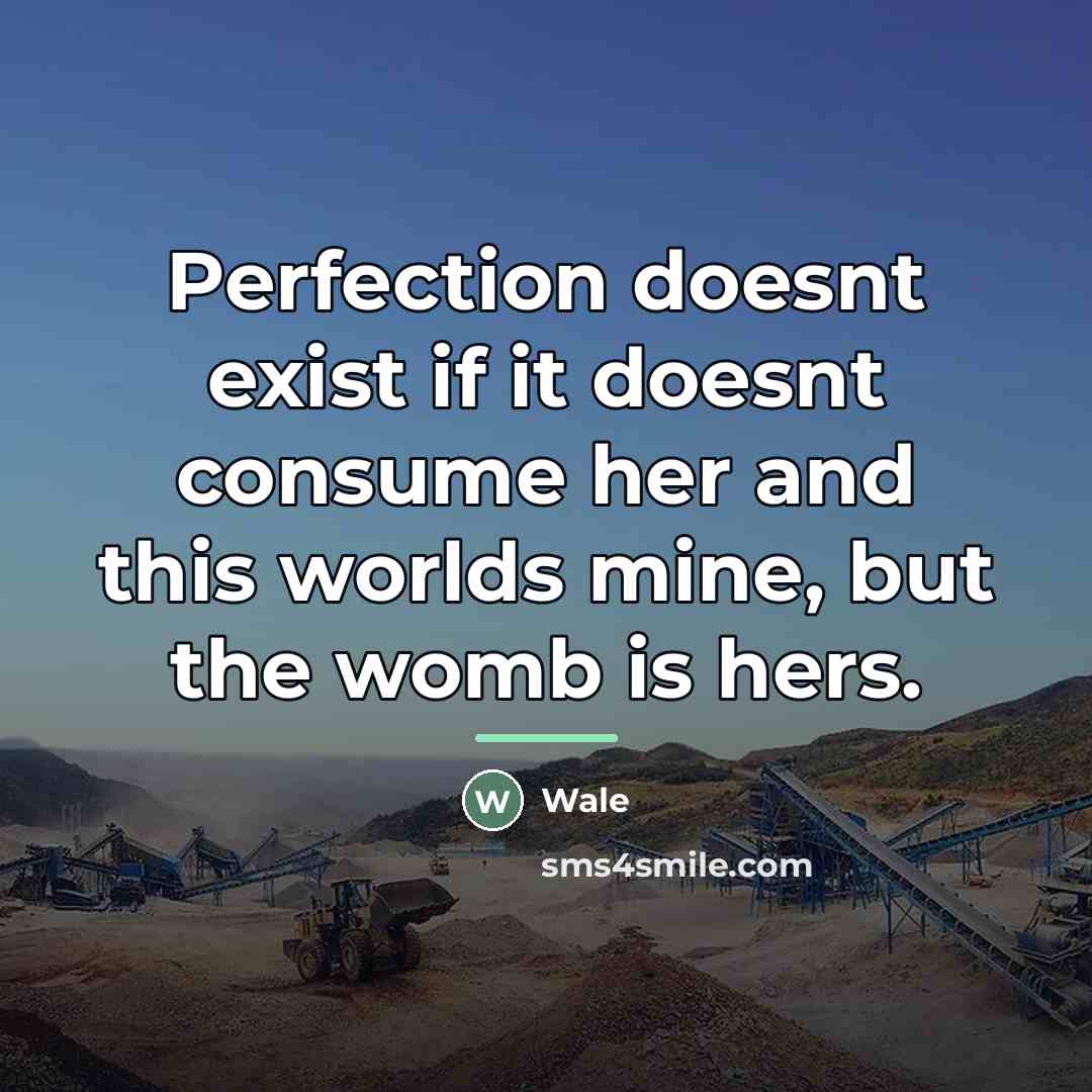 “Perfection doesnt exist if it doesnt consume her and this…” quote by Wale