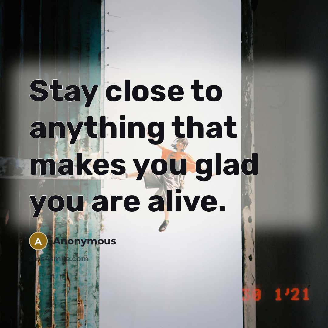 “Stay close to anything that makes you glad you are alive.” quote by Anonymous
