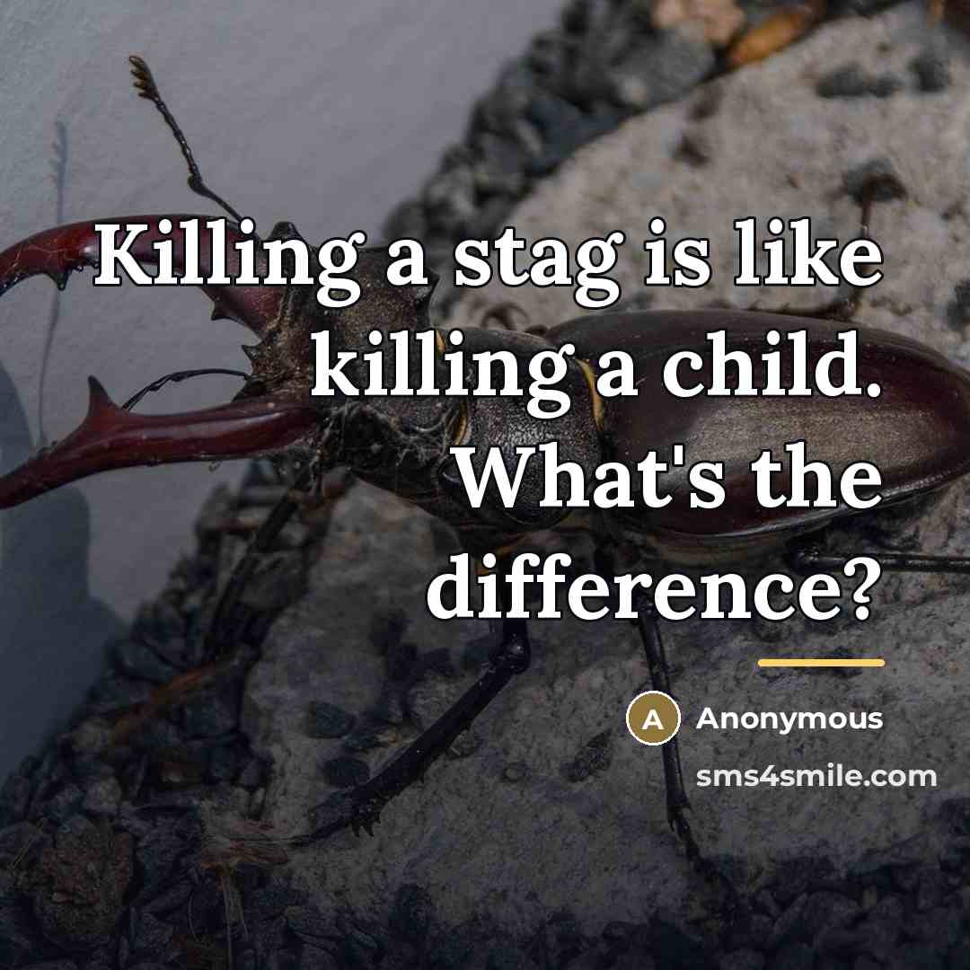“Killing a stag is like killing a child. What's the…” quote by Anonymous