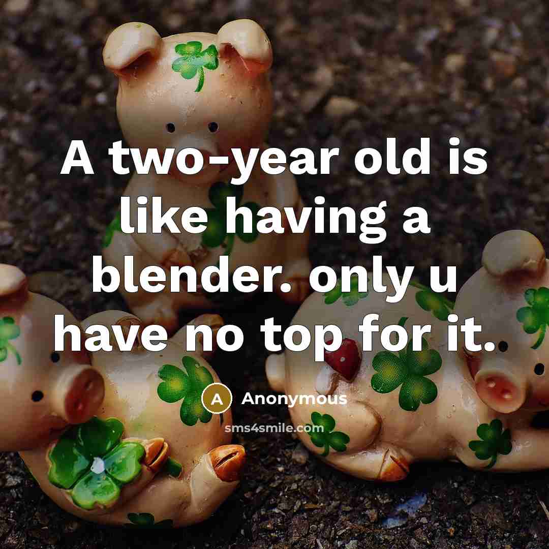 “A two-year old is like having a blender. only u have no top for it.” quote by Anonymous