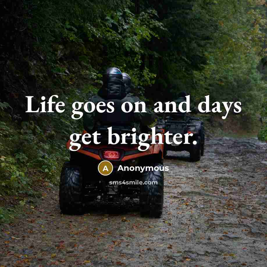 “Life goes on and days get brighter.” quote by Anonymous