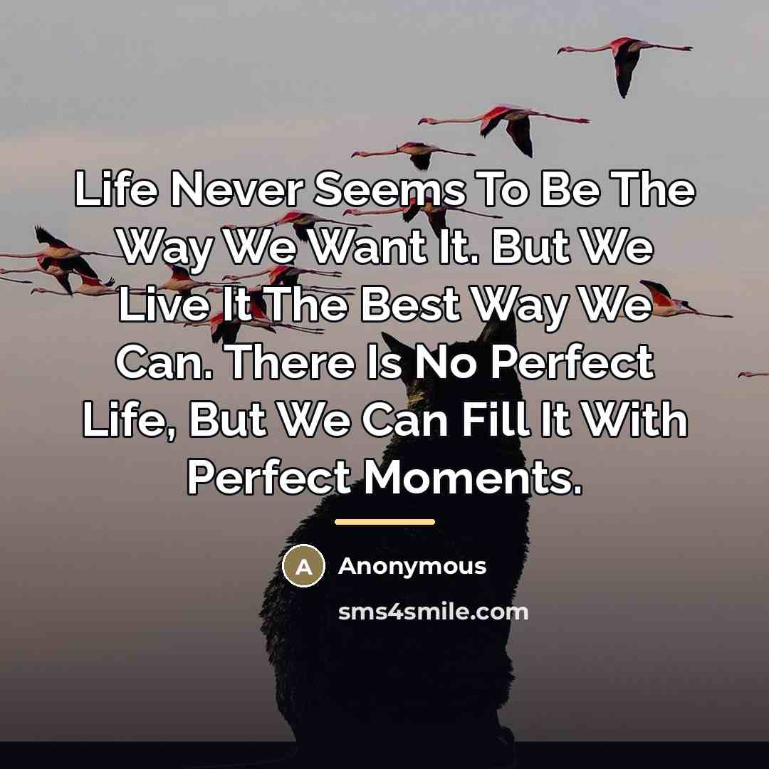 “Life Never Seems To Be The Way We Want It.…” quote by Anonymous