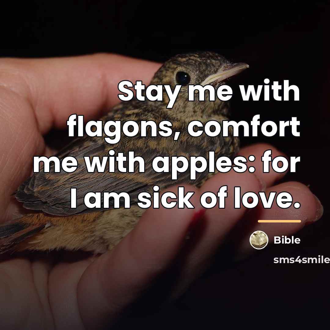 “Stay me with flagons, comfort me with apples: for I…” quote by Bible