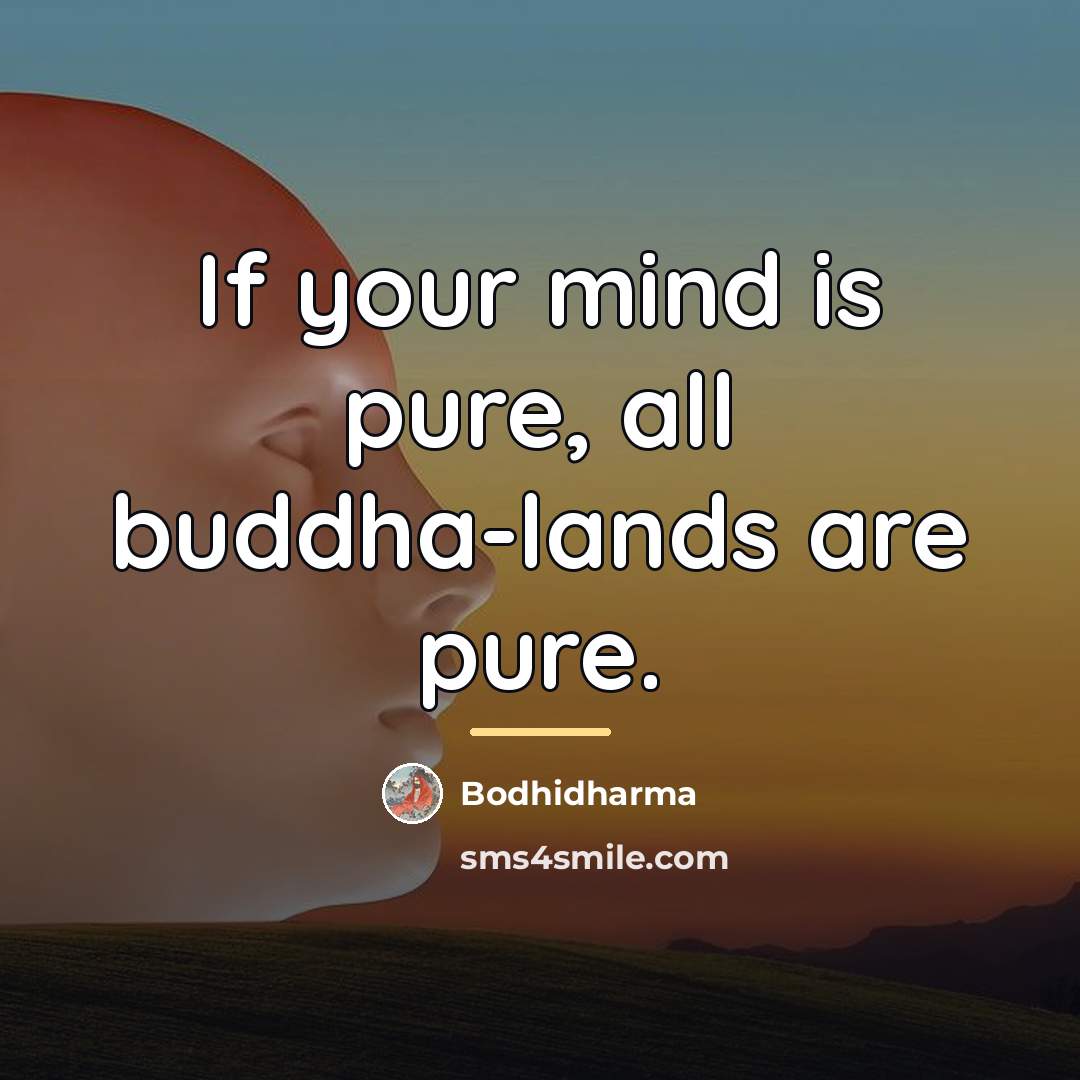 “If your mind is pure, all buddha-lands are pure.…” quote by Bodhidharma