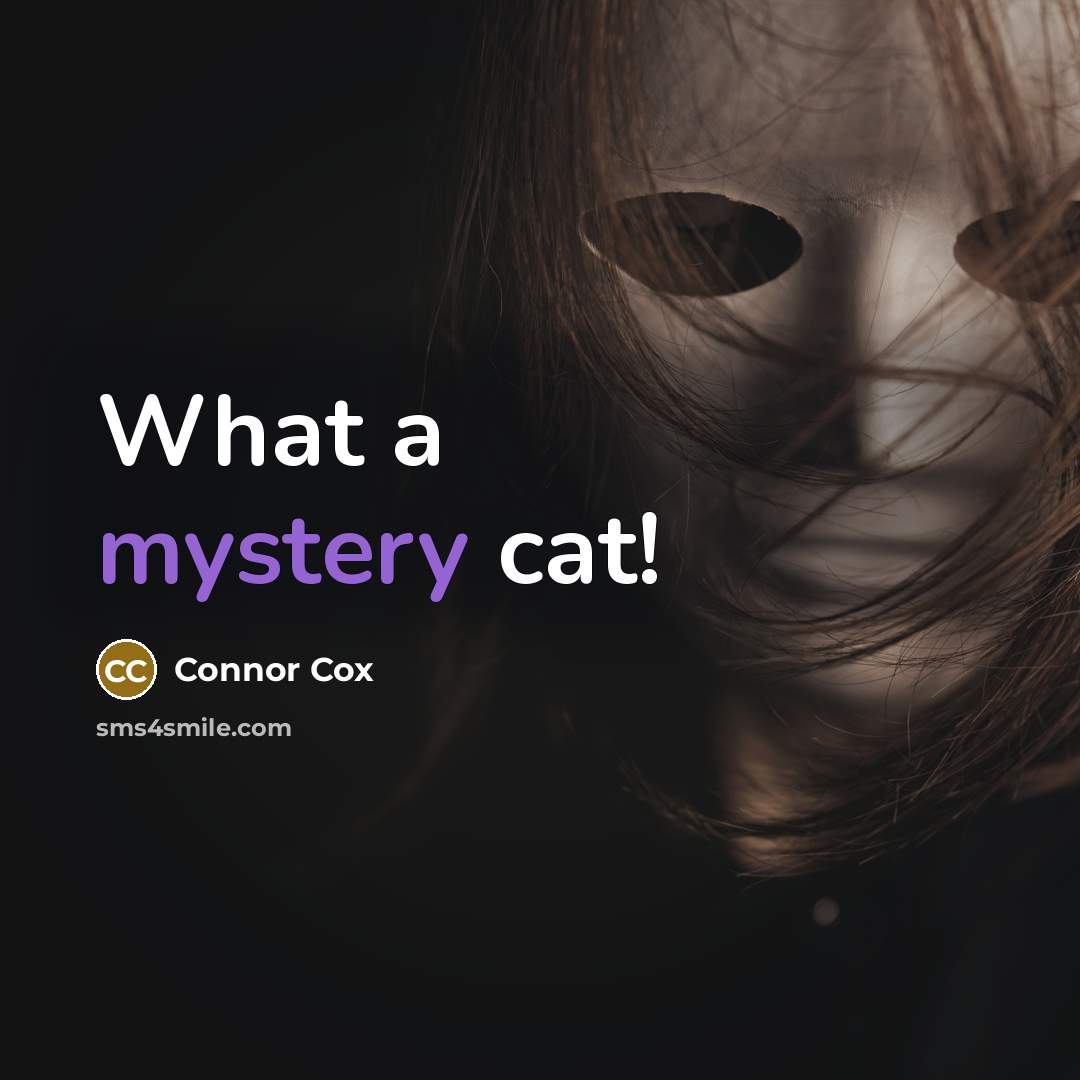“What a mystery cat!” quote by Connor Cox