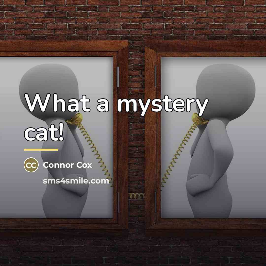 “What a mystery cat!…” quote by Connor Cox