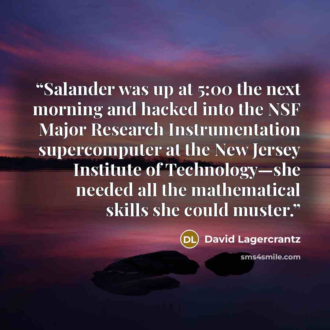 “Salander was up at 5:00 the next morning and hacked into the NSF Major Research Instrumentation supercomputer at the New Jersey Institute of Technology—she needed all the mathematical skills she could muster.” quote by David Lagercrantz