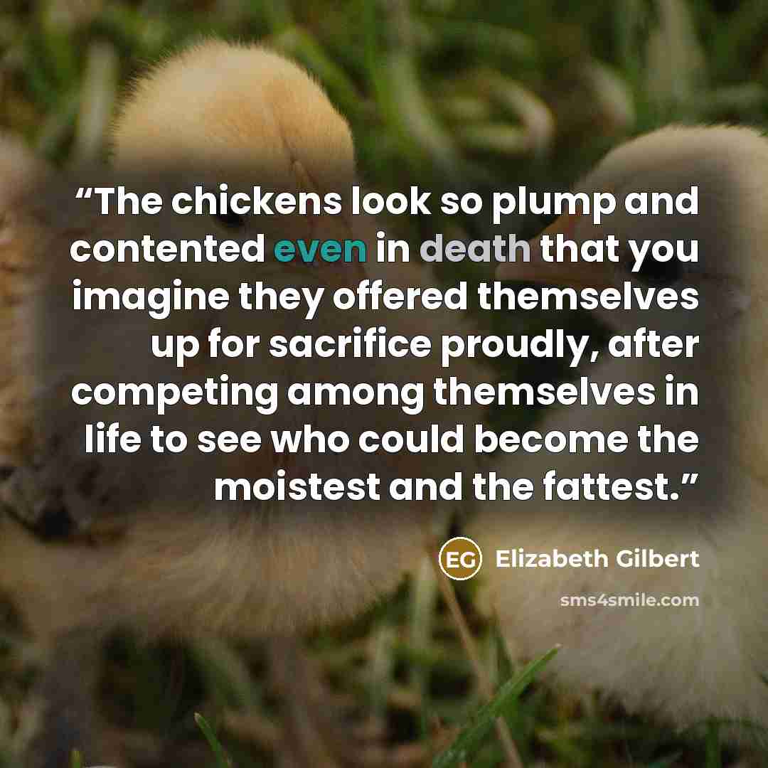 “The chickens look so plump and contented even in death that you imagine they offered themselves up for sacrifice proudly, after competing among themselves in life to see who could become the moistest and the fattest.” quote by Elizabeth Gilbert