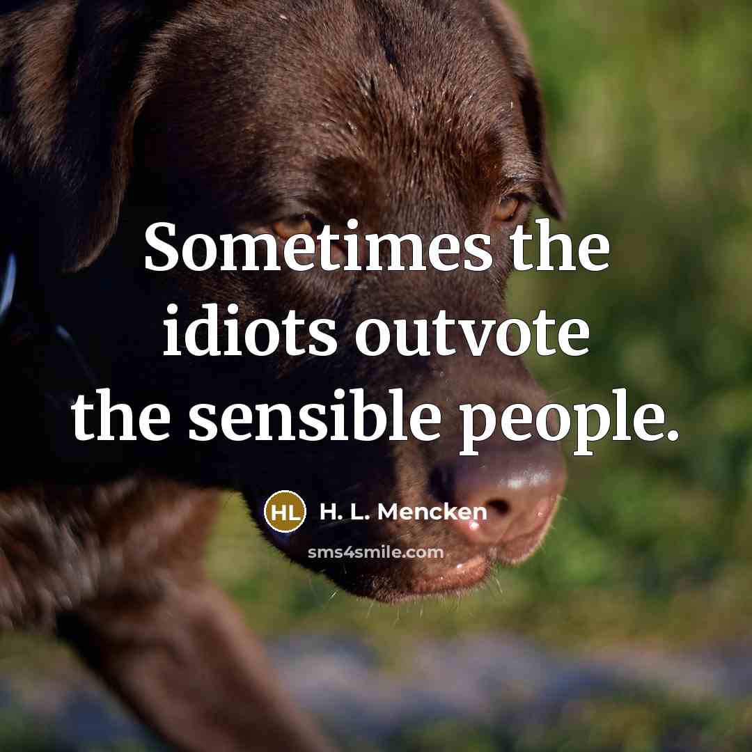 “Sometimes the idiots outvote the sensible people.…” quote by H. L. Mencken