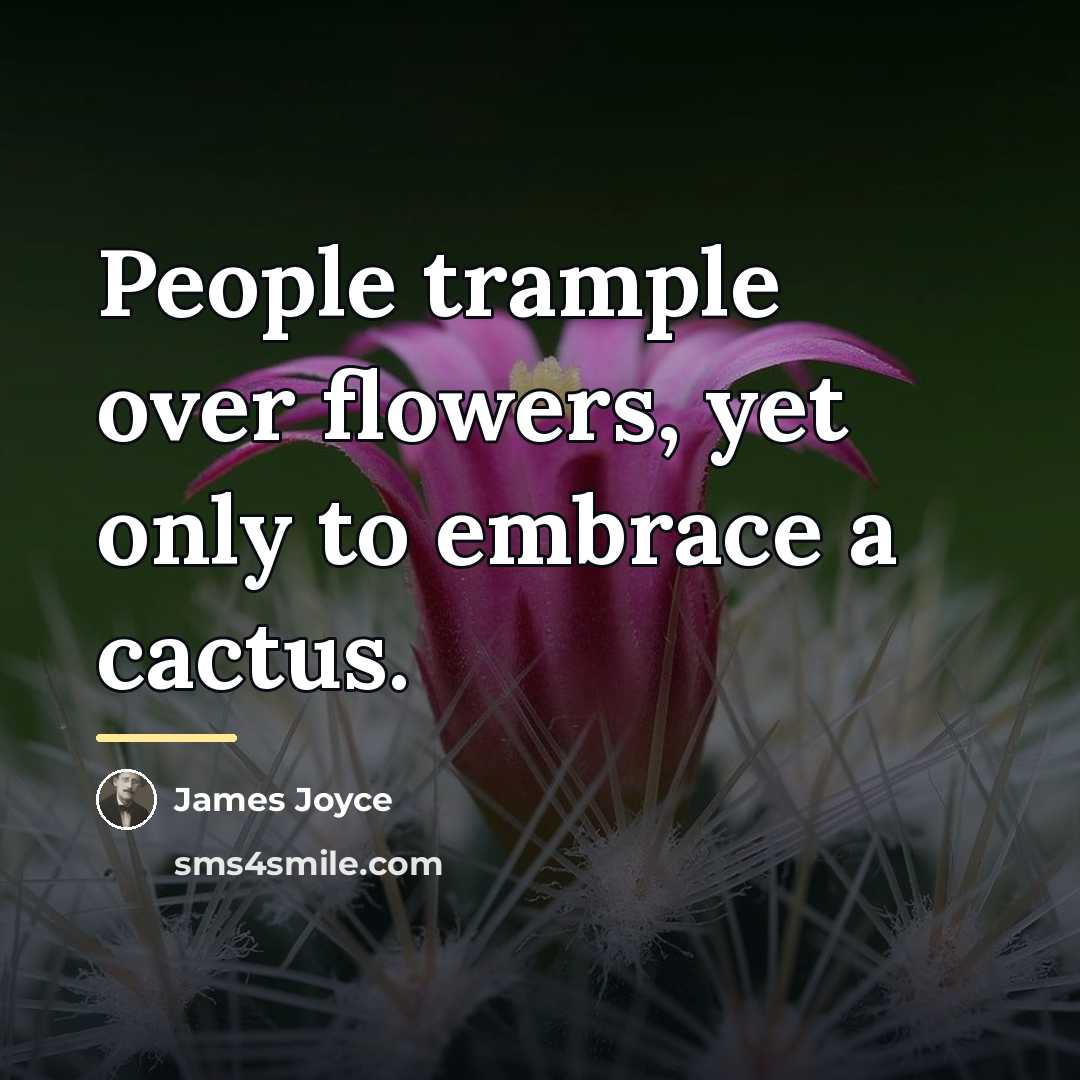 “People trample over flowers, yet only to embrace a cactus.…” quote by James Joyce
