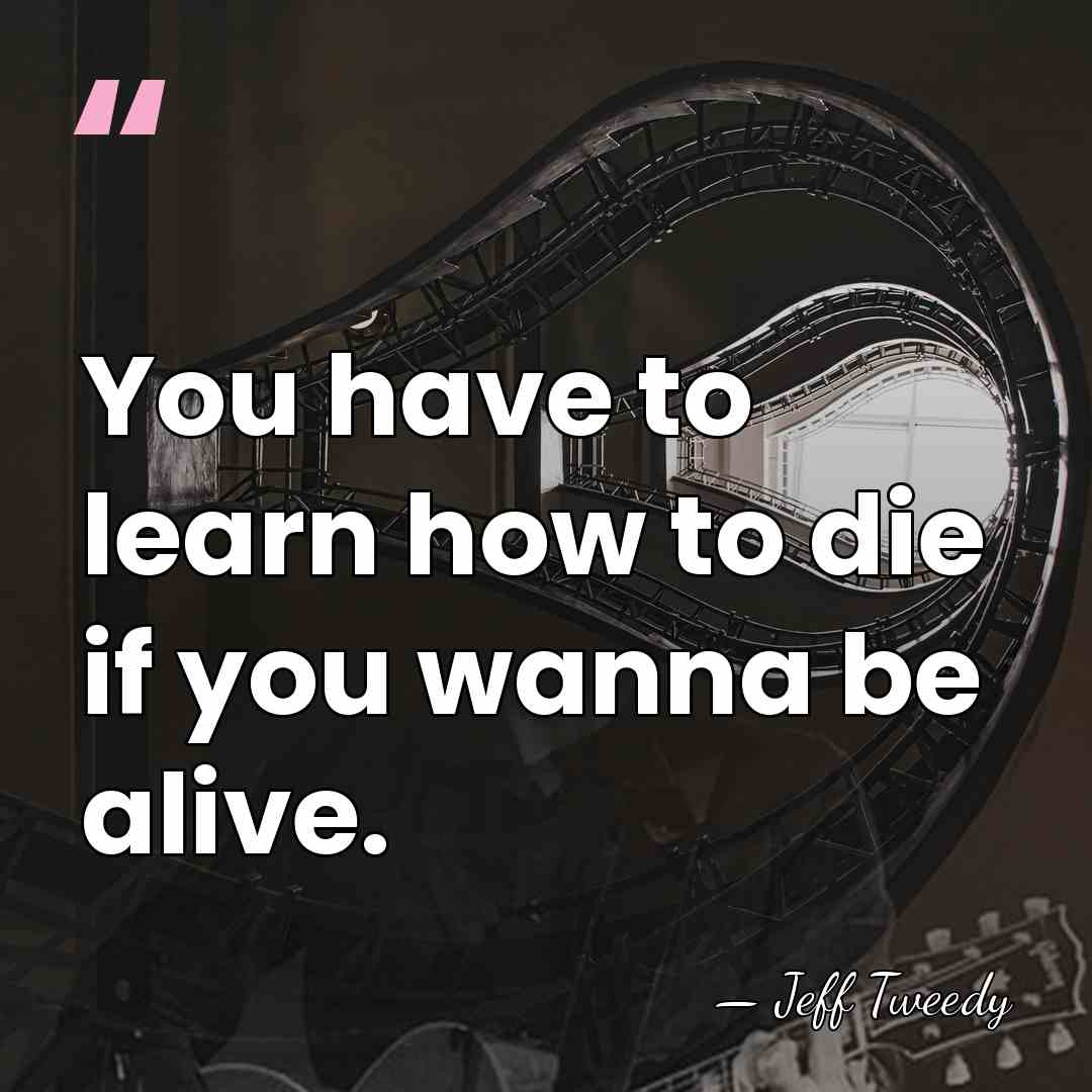 You have to learn how to die if you wanna be alive. - Jeff Tweedy