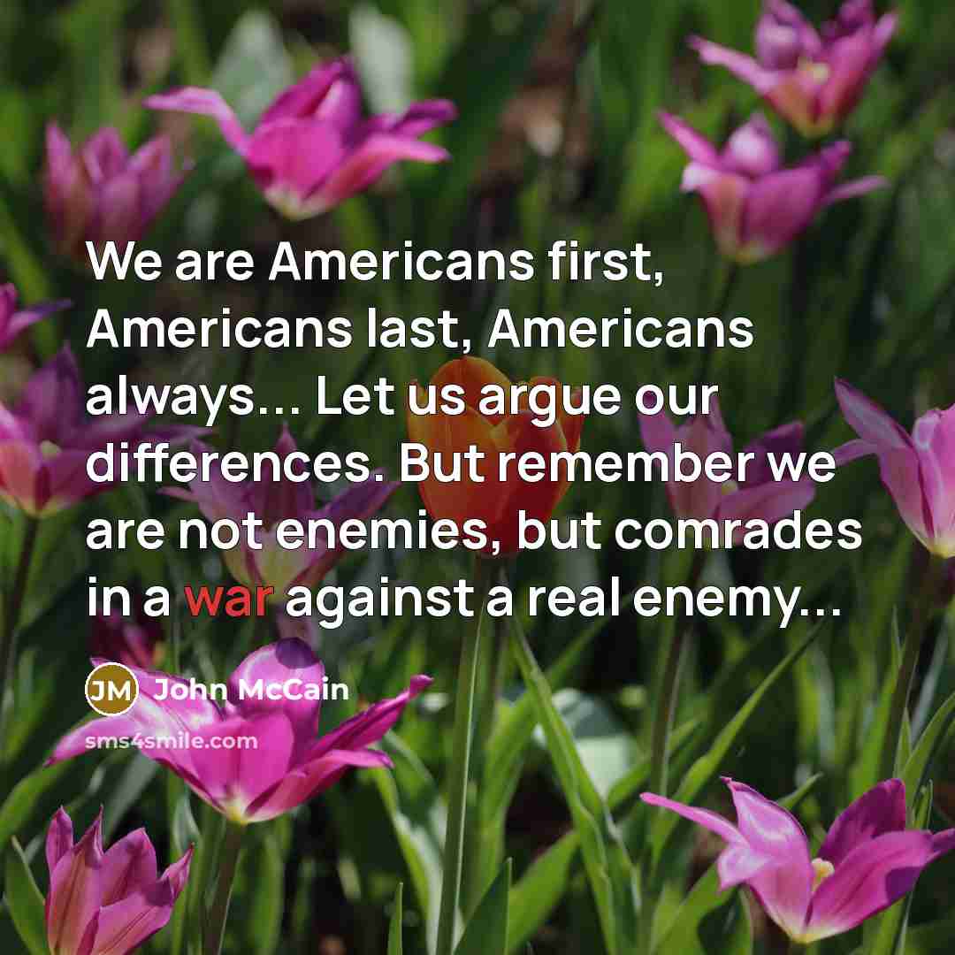 “We are Americans first, Americans last, Americans always... Let us argue our differences. But remember we are not enemies, but comrades in a war against a real enemy...” quote by John McCain
