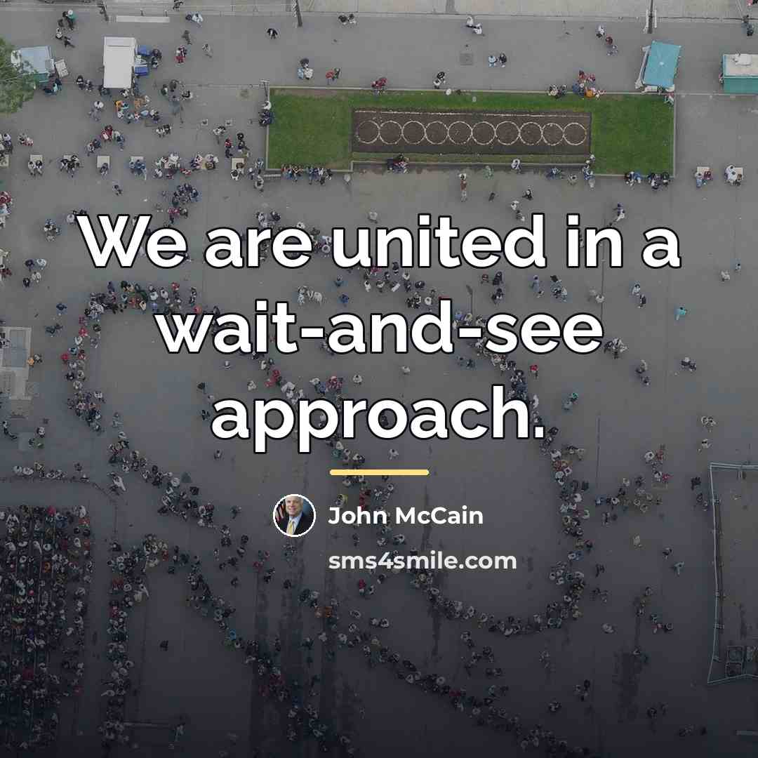 “We are united in a wait-and-see approach.…” quote by John McCain