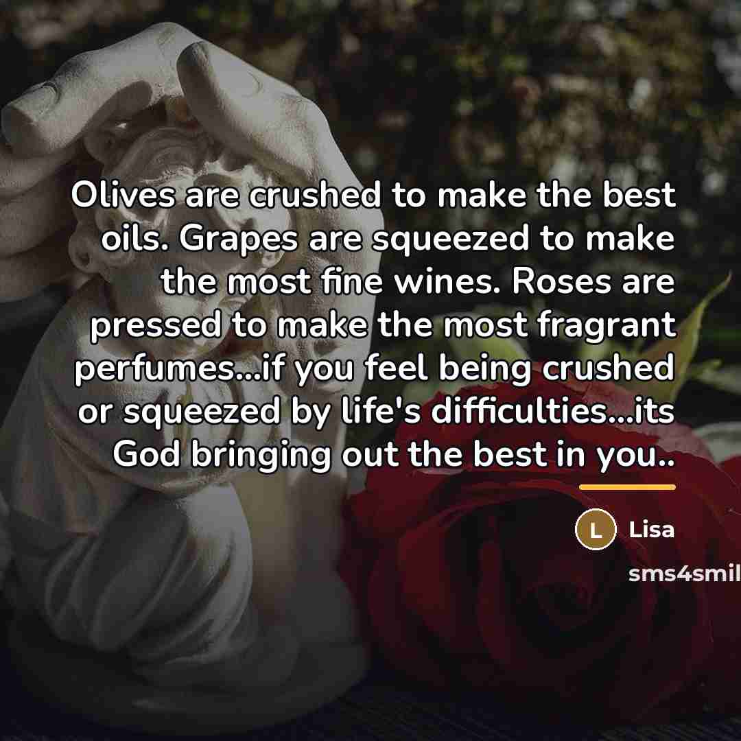 “Olives are crushed to make the best oils. Grapes are…” quote by Lisa