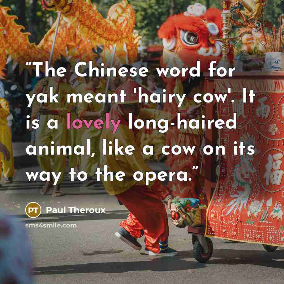 “The Chinese word for yak meant 'hairy cow'. It is a lovely long-haired animal, like a cow on its way to the opera.” quote by Paul Theroux