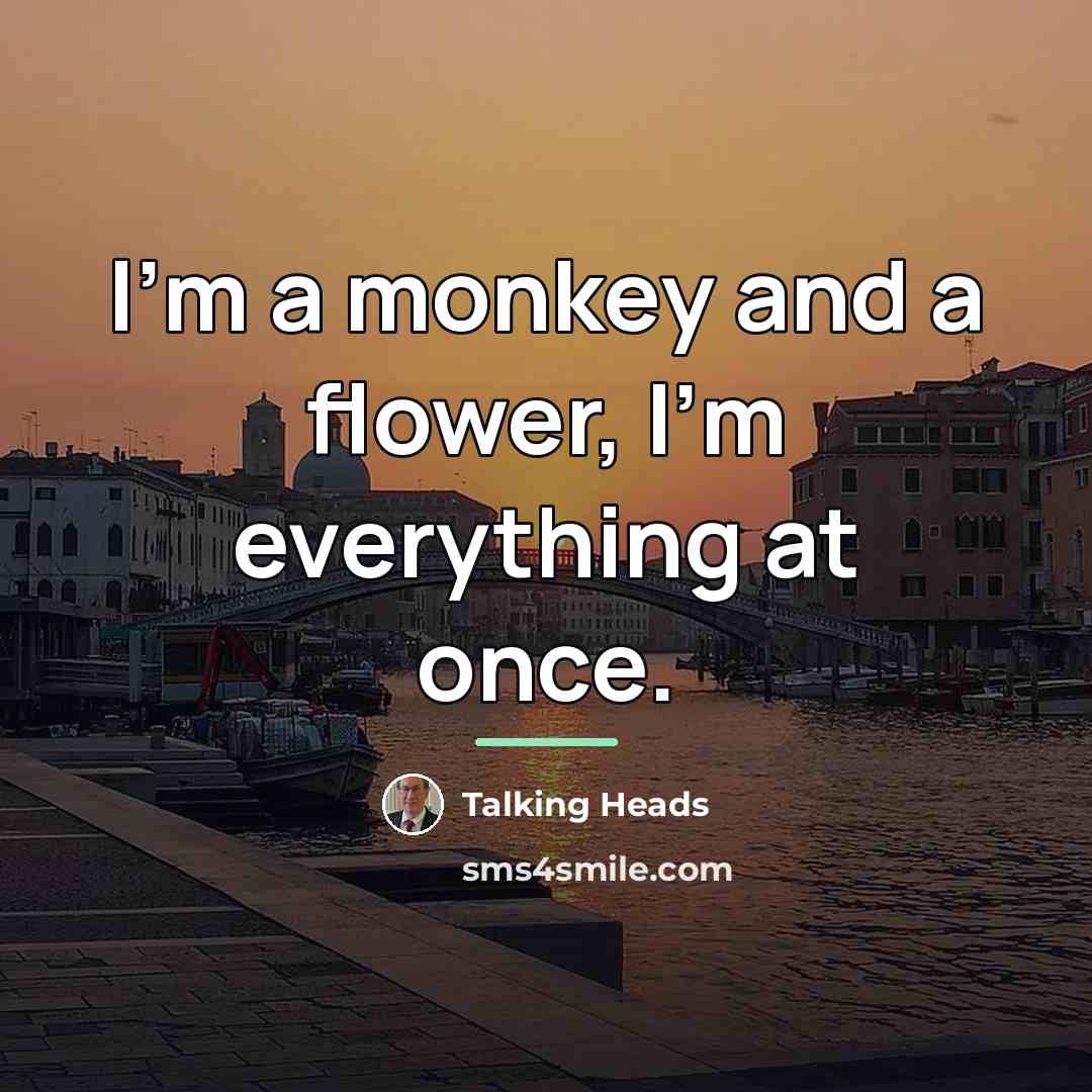 “I'm a monkey and a flower, I'm everything at once.…” quote by Talking Heads