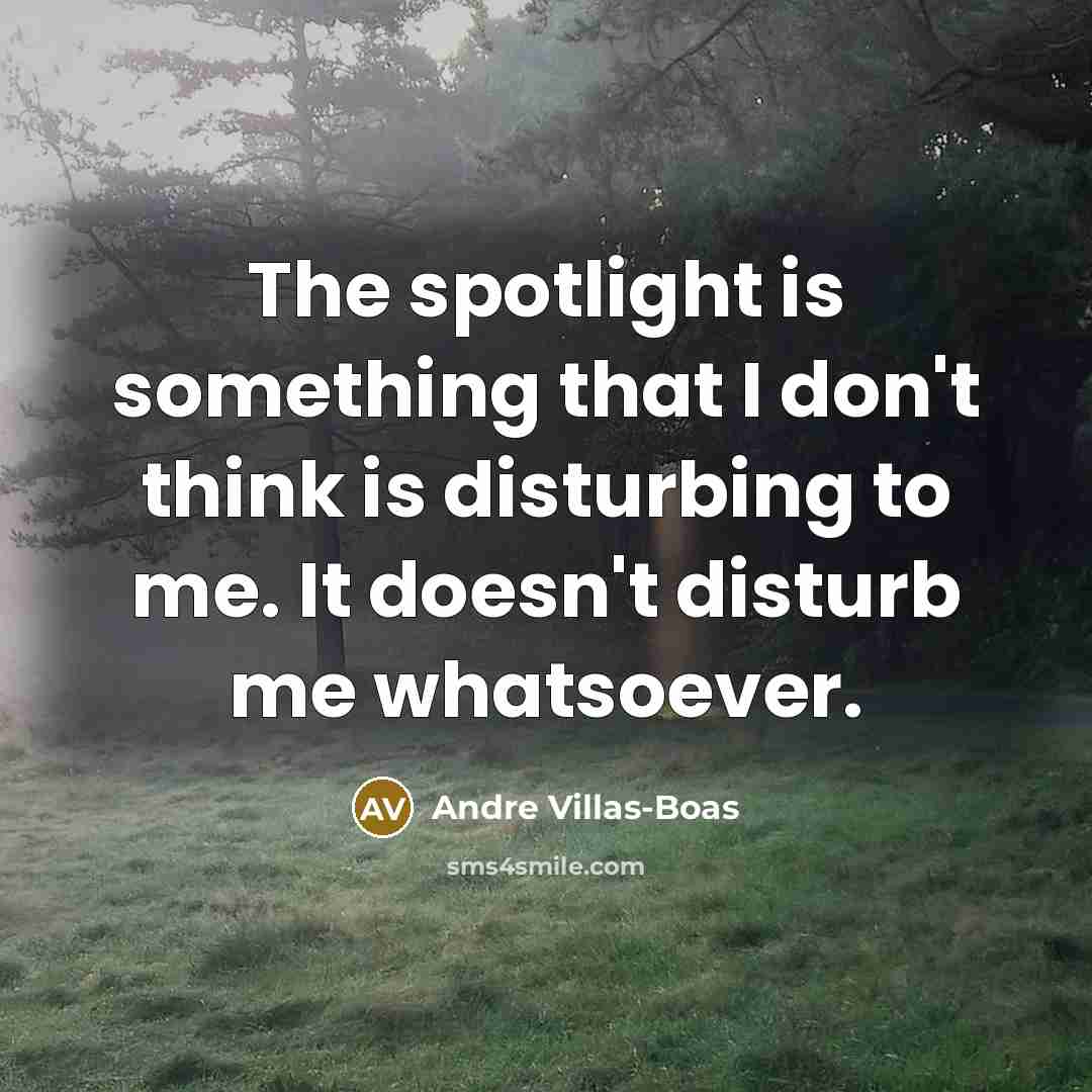 “The spotlight is something that I don't think is disturbing…” quote by Andre Villas-Boas