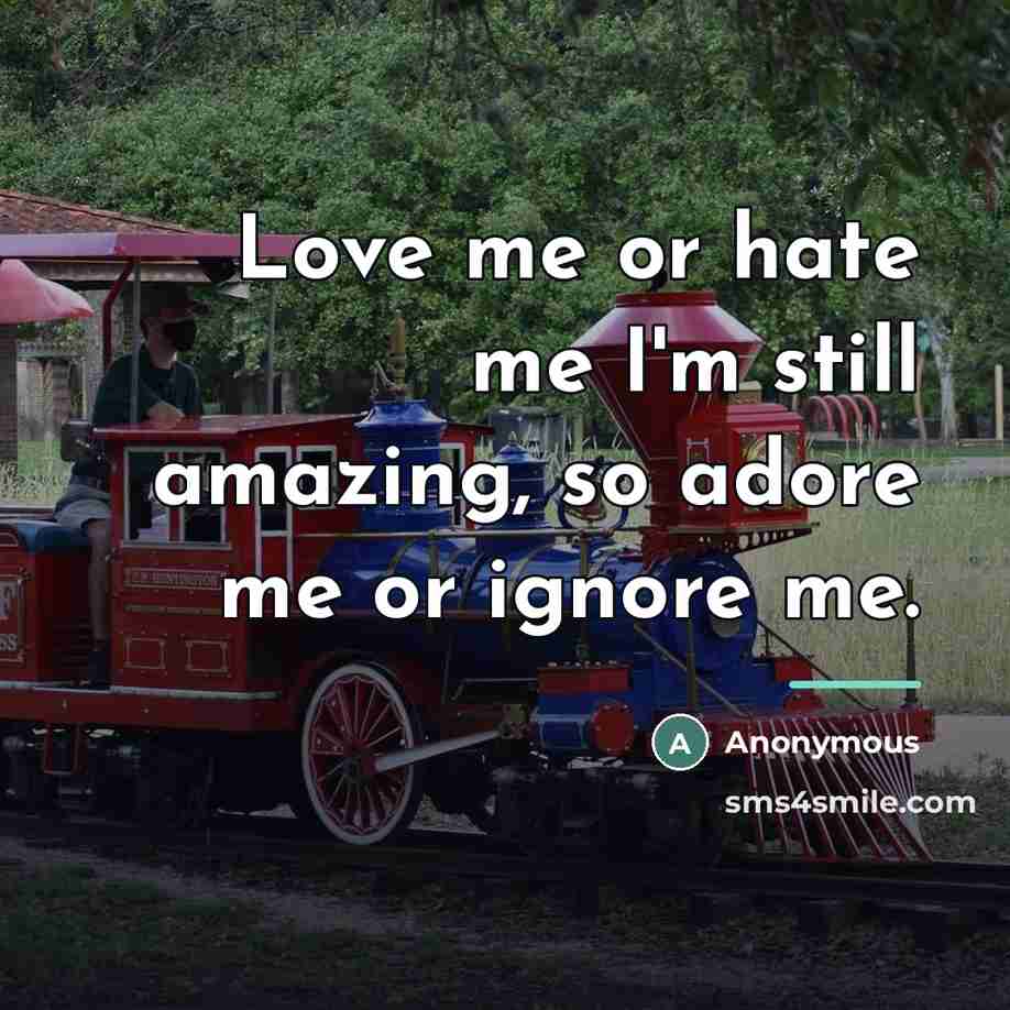 “Love me or hate me I'm still amazing, so adore…” quote by Anonymous