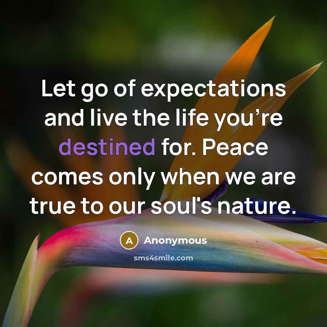“Let go of expectations and live the life you're destined…” quote by Anonymous