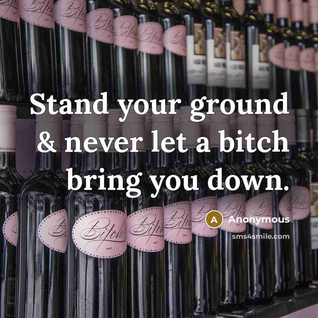 “Stand your ground & never let a bitch bring you…” quote by Anonymous