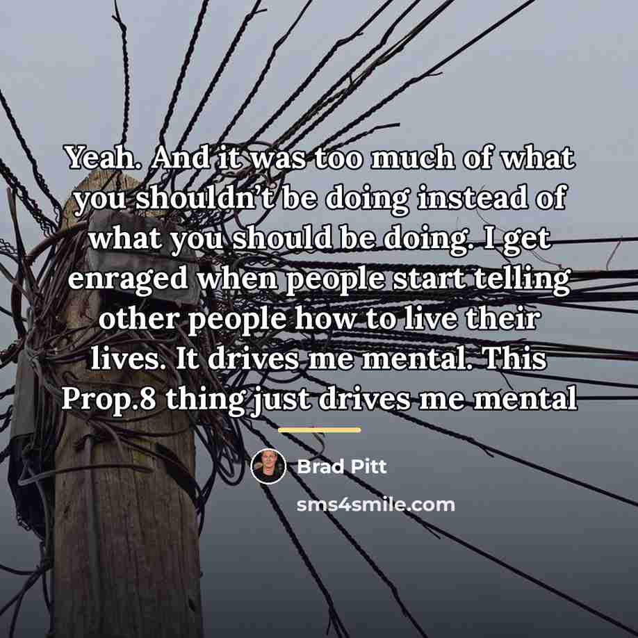 “Yeah. And it was too much of what you shouldn’t…” quote by Brad Pitt