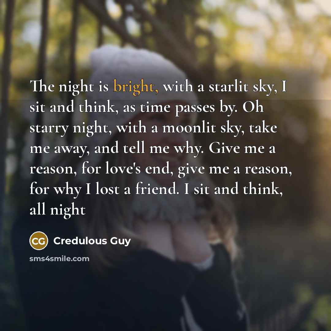 “The night is bright, with a starlit sky, I sit…” quote by Credulous Guy