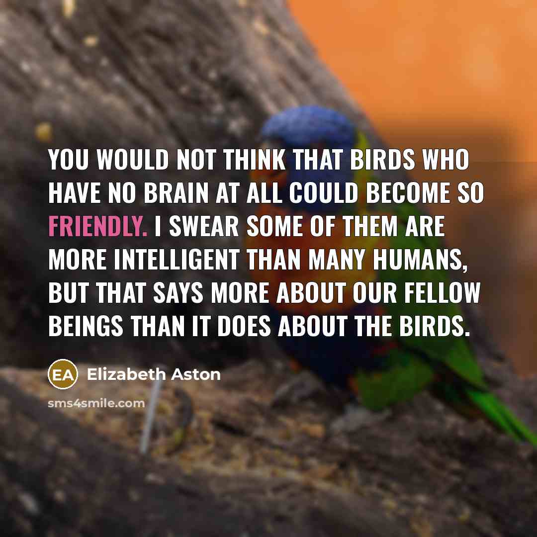 “You would not think that birds who have no brain…” quote by Elizabeth Aston